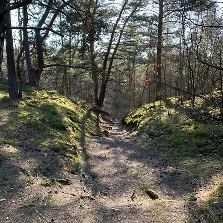 Na Plaze Przez Jantar