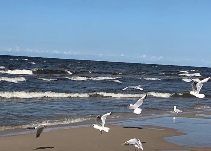 Apartment Na Plaze Przez *