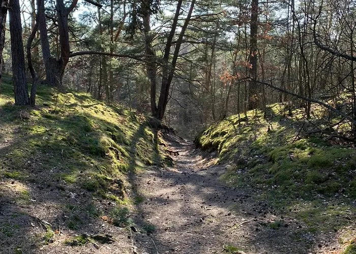 Na Plaze Przez Jantar